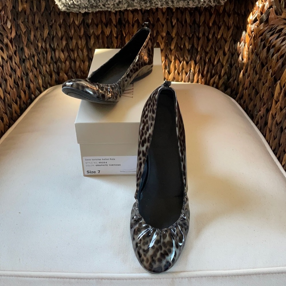 JCrew Ballet Shoe